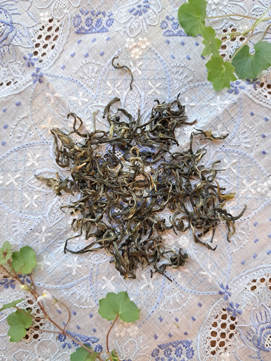 organic green tea "Forest"