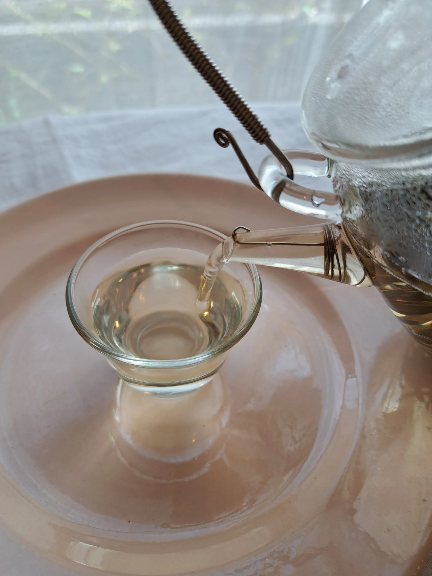 organic green tea "Forest"