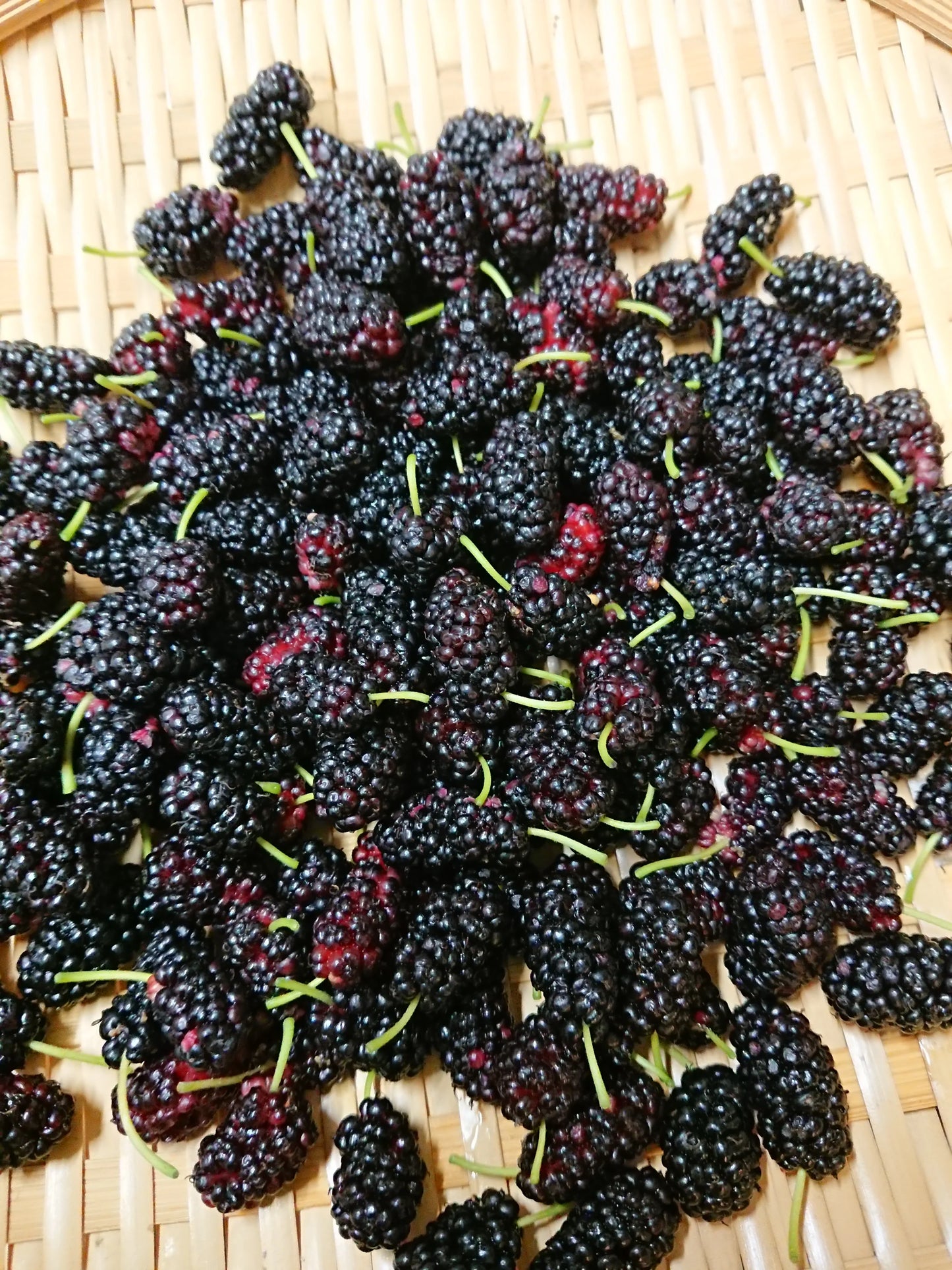 Seasonal YAKUZEN tea "Summer Blend"