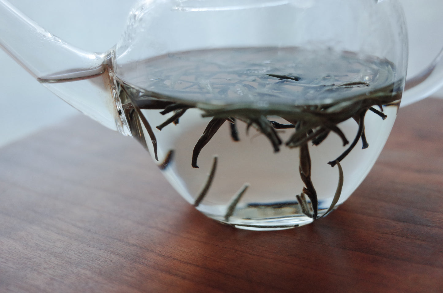 Single origin White Tea  "Silver Still"